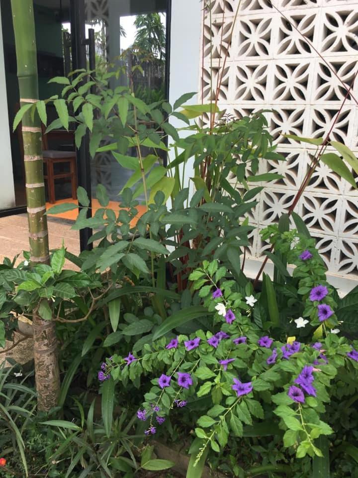 Villa D'Orange Siem Reap Esterno foto